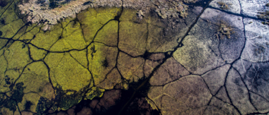 Botswana Okavango Delta Gomoti Plains August Sightings 2021 Okavango Delta Botswana Okavango Delta Gomoti Plains August Sightings 2021 Okavango Delta