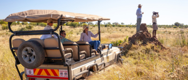 Machaba Safaris   Zimbabwe   Hwange National Park   Deteema Springs   Wildlife Sightings   June 2022   CTA  Game Drive Machaba Safaris   Zimbabwe   Hwange National Park   Deteema Springs   Wildlife Sightings   June 2022   CTA  Game Drive