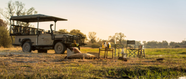 Botswana Okavango Delta Machaba Camp Sightings July 2021 Cta Enjoymachaba Botswana Okavango Delta Machaba Camp Sightings July 2021 Cta Enjoymachaba