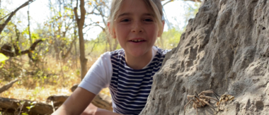 On Safari Nala Episode 17 Baboon Spider Thumbnail On Safari Nala Episode 17 Baboon Spider Thumbnail