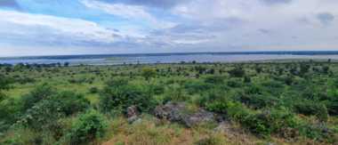 Ngoma April Wildlife Sightings Cta Ngoma April Wildlife Sightings Cta