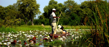 Machaba Botswana Okavango Delta Machaba Camp Mokoro Sightings April 2017 Machaba Botswana Okavango Delta Machaba Camp Mokoro Sightings April 2017