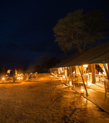 Machaba Gomoti Plains Camp Wildlife Sightings May 2025 Evening At Gomoti Plains Camp
