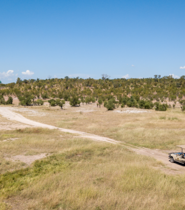 Machaba Deteema Springs Camp Wildlife Sightings July 2026 Hwange Dry Season