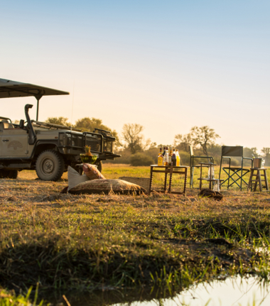 Machaba Safaris Machaba Camp Stories Oct 2023 Safari Experience