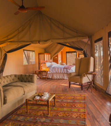 Machaba Verneys Camp Wildlife Sightings April 2026 Verneys Camp Family Room