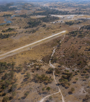 Machaba Gomoti Plains Camp Wildlife Sightings August 2025 Botswana In The Dry Season