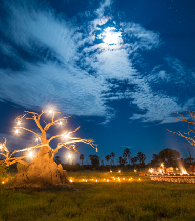 Machaba Gomoti Plains Camp Wildlife Sightings January 2026 Gomoti Plains Boma Dinner