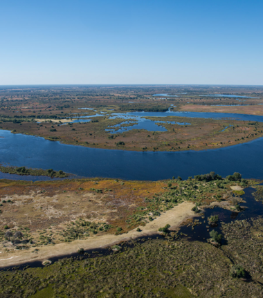 Machaba Monachira Camp Wildlife Sightings February 2026 Okavango Wet Season