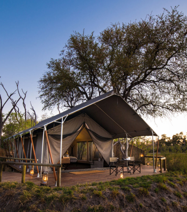 Botswana Okavango Delta Machaba Camp Sightings May 2021 Little Machaba Botswana Okavango Delta Machaba Camp Sightings May 2021 Little Machaba