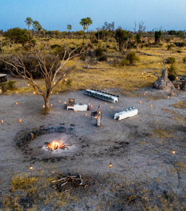 Machaba Safaris   Machaba Camp Wildlife Sightings   May 2025   Camp Machaba Safaris   Machaba Camp Wildlife Sightings   May 2025   Camp