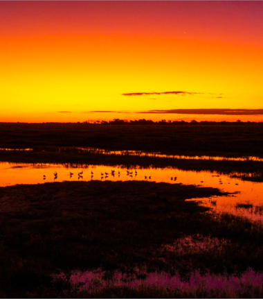 Machaba Ngoma Safari Lodge Wildlife Sightings September 2025 Banner Sunset At Chobe Machaba Ngoma Safari Lodge Wildlife Sightings September 2025 Banner Sunset At Chobe
