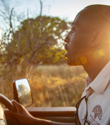 Botswana Okavango Delta Machaba Camp Sightings July 2021 Get To Know Us