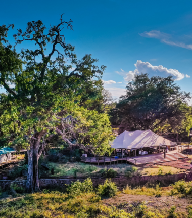 Machaba Deteema Springs Camp Wildlife Sightings June 2026 Deteema Springs Camp