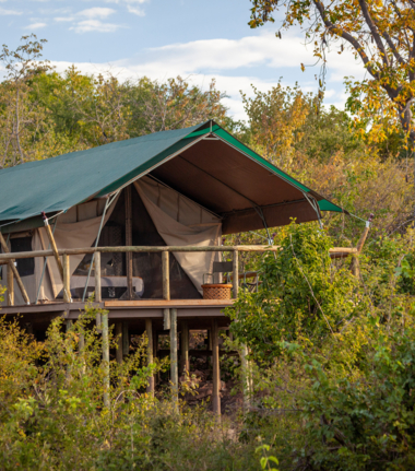 Machaba Deteema Springs Wildlife Sighting View From Room