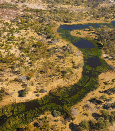 Machaba Kiri Camp Wildlife Sightings June 2025 River System In The Okavango