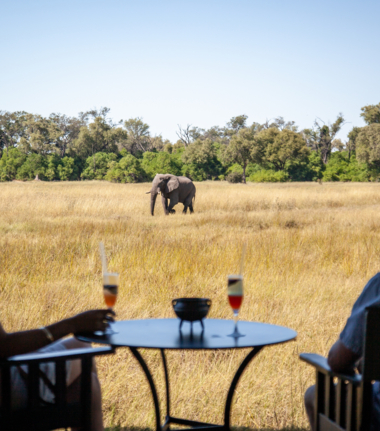 Machaba Little Machaba Accommodation Tent Mvr 006