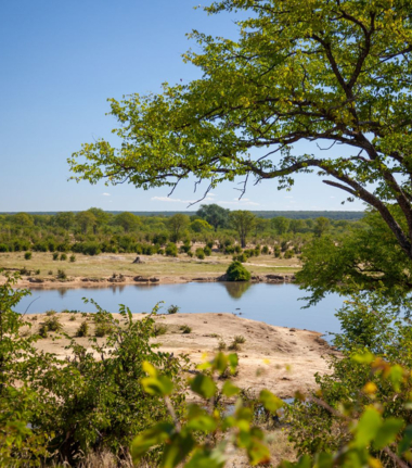 Zimbabwe Hwange National Park View Zimbabwe Hwange National Park View