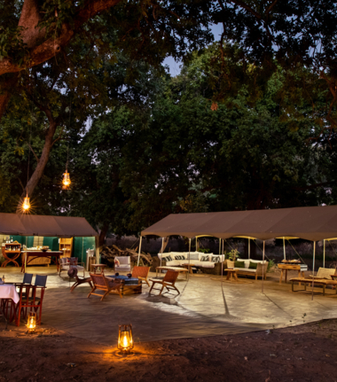 Machaba Mana Pools October Sightings Camp