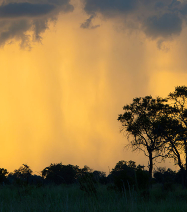 Mike Myers Kiri Green Season