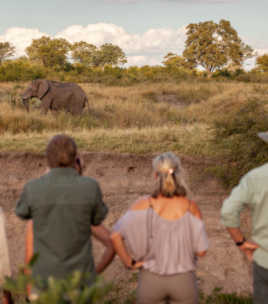 Walking Safari Deteema.jpg