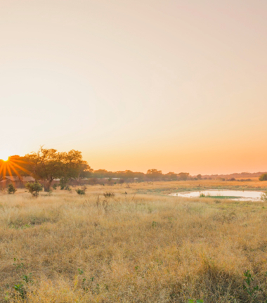 Machaba Verneys Camp Wildlife Sightings July 2025 Sunset At Hwange National Park