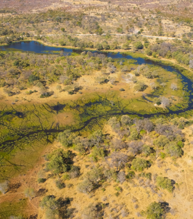 Machaba Kiri Camp Wildlife Sightings May 2026 Water Channel In The Okavango
