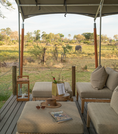 Botswana Gomoti Plains View Form Camp Botswana Gomoti Plains View Form Camp