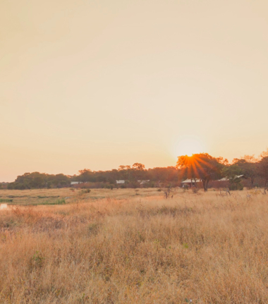 Zimbabwe sunset Zimbabwe sunset
