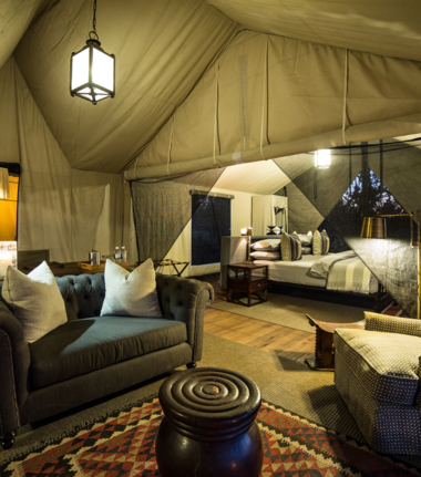 Machaba Camp Wildlife Sightings February 2026 Little Machaba Family Room