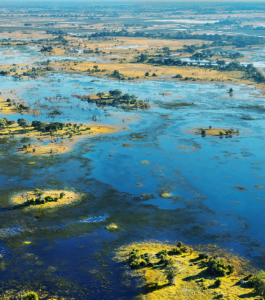 Botswana   Okavango Delta   Machaba Camp   August Sightings 2021    Okavango Delta   Cta