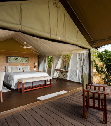 Machaba Safaris Zimbabwe Mana Pools Ingwe Pan Stories Oct 2023 Tent