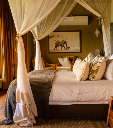 Machaba Web Blog Wildlife Stories Ngoma Safari Lodge Suites