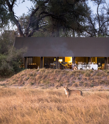 Little Machaba Okavango Delta