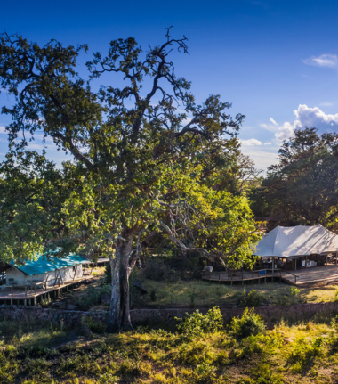 Machaba Safaris Deteema Camp Tented Camp