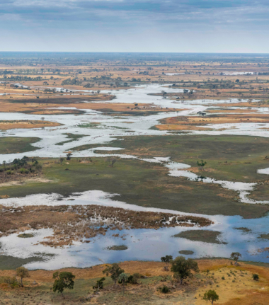 Machaba Safaris Kiri Camp Wildlife Sightings Okavango Delta