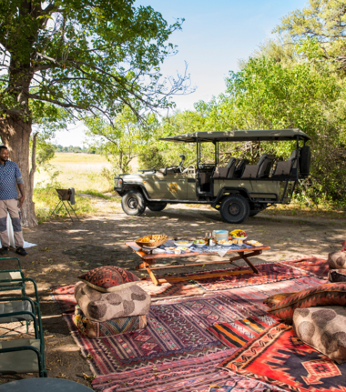 Willdife Sightings Machaba Camp Botswana September 2024 Safari Experience