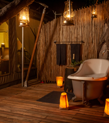 Botswana   Okavango Delta   Machaba Camp   Wildlife Stories   Feb 2022   Little Machaba Botswana   Okavango Delta   Machaba Camp   Wildlife Stories   Feb 2022   Little Machaba