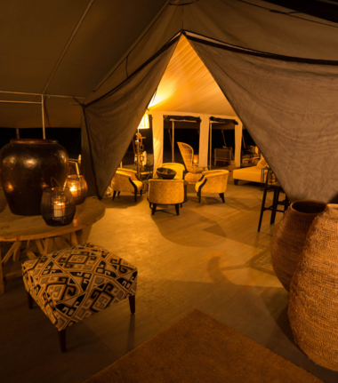 Machaba Gomoti Plains Camp Wildlife Sightings February 2026 Gomoti Common Area