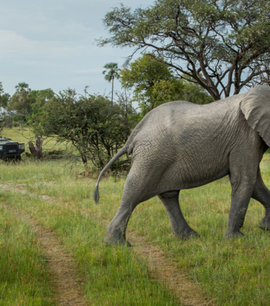 Machaba Gomoti Plains Botswana Community Feature Gallery Machaba Gomoti Plains Botswana Community Feature Gallery