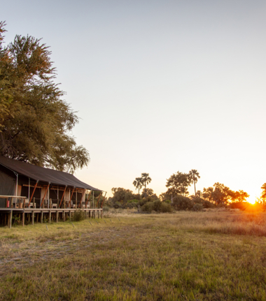 Machaba Safaris Gomot Plains Wildlife Sightings Dec 2024 Camp
