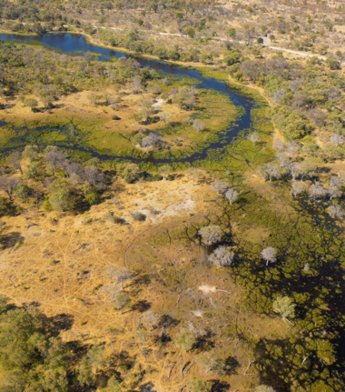 Machaba Camp Wildlife Sightings March 2026 Okavango Delta Flood Plain