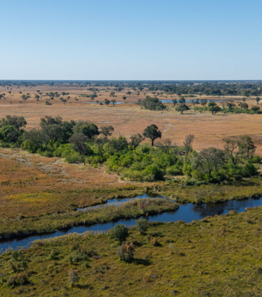 Machaba Monachira Camp Wildlife Sightings August 2026 Okavango Delta Flood Plain