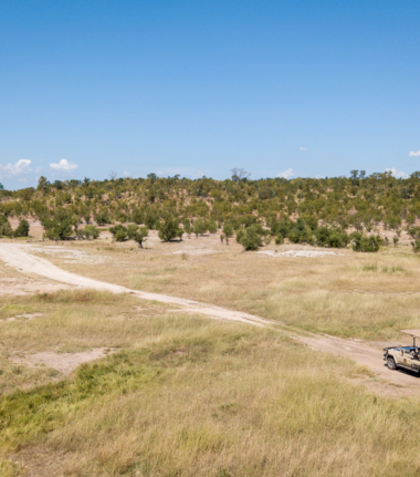 Game drive through the spectacular Hwange National Park Game drive through the spectacular Hwange National Park