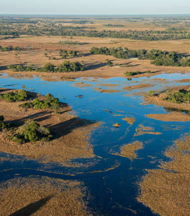 Machaba Monachira Camp Wildlife Sightings June 2025 Okavango Delta Floodplain
