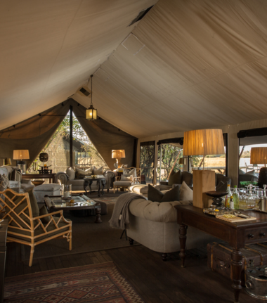 Machaba Camp Wildlife Sightings July 2026 Machaba Camp Luxury African Destination