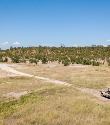 Zimbabwe Mana Pools Ingwe Pan Sept 2020 Destination Cta