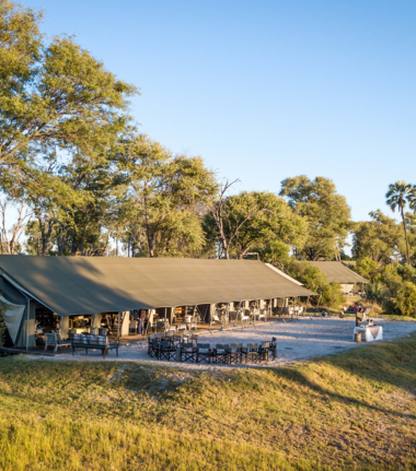 Machaba Gomoti Plains Camp Wildlife Sightings June 2025 Luxury Tented Camp