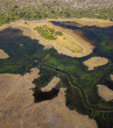 Machaba Monachira Camp Wildlife Sightings February 2026 Okavango Flood Waters