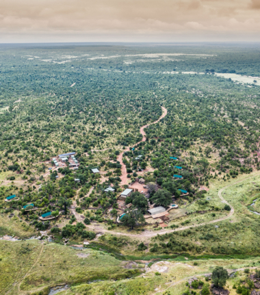 Machaba Deteema Springs Wildlife Sighting Destination Hwange